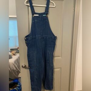 Anthropologie Pilcro Denim Overalls sz 18W